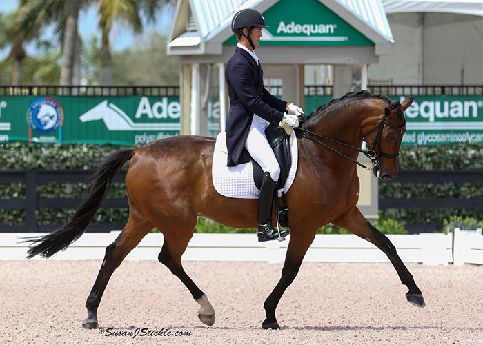 Adrienne Lyle Wins Inaugural Palm Beach Derby Class and Chris Von Martels Takes FEI Intermediaire 1 Freestyle at AGDF 9