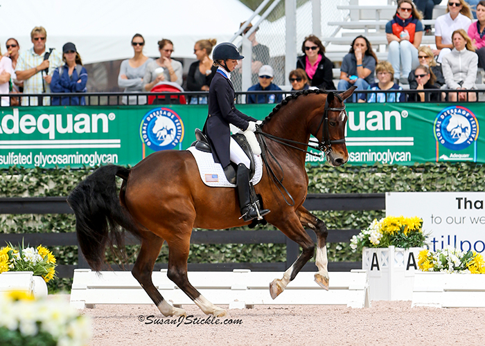 Laura Graves and Verdad Records Second Ever 80% Score: FEI Nations Cup