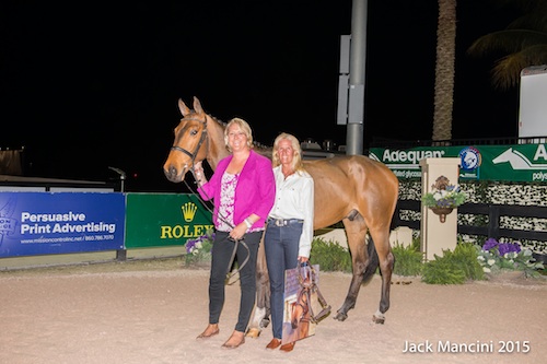2015 WEF Sport Horse Auction Impresses Again with Huge Success