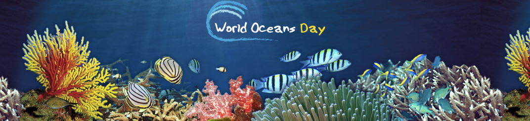 World Oceans Day with The Palm Beach Zoo