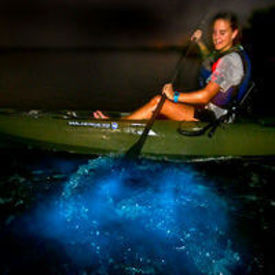 Bioluminescent Kayak Tours